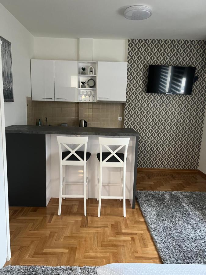 Centar Ns2 Daire Novi Sad Dış mekan fotoğraf